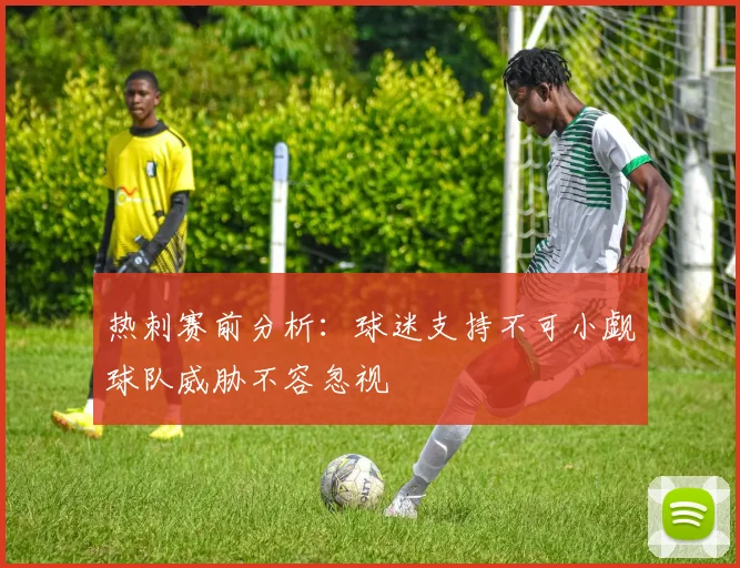 热刺赛前分析：球迷支持不可小觑球队威胁不容忽视